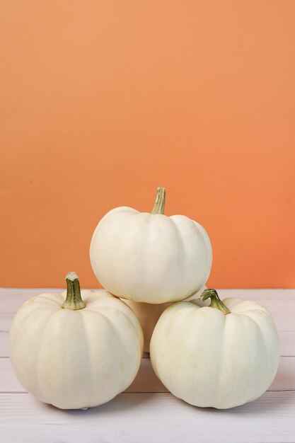 White Pumpkin